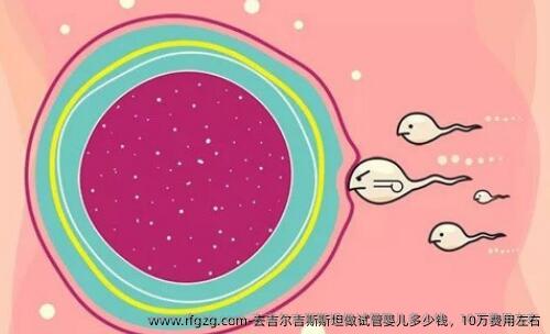 去吉尔吉斯斯坦做代孕多少钱，10万费用左右
