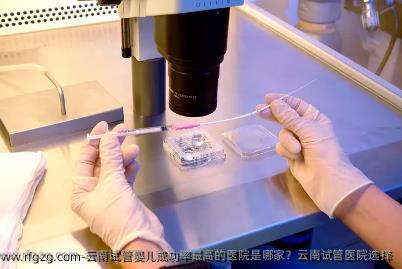 云南代孕成功率最高的医院是哪家?云南试管医院选择