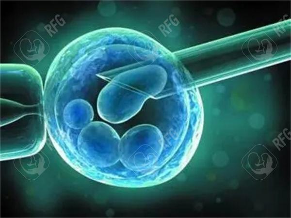 上海试管婴儿高成功，上海试管婴儿的费用是多少？