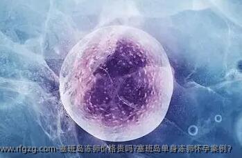 塞班岛雪藏卵价格贵吗?塞班岛单身雪藏卵怀孕案例?