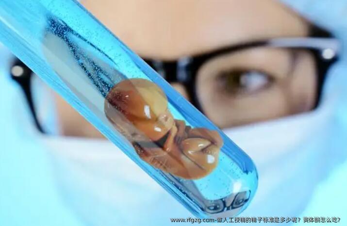 做人工授精的精子标准是多少呢?黄体酮怎么吃?