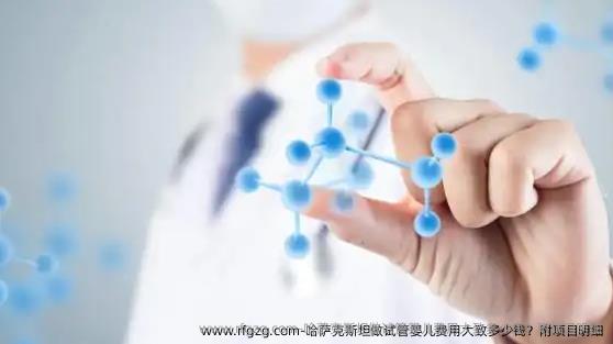 哈萨克斯坦做代孕费用大致多少钱？附项目明细