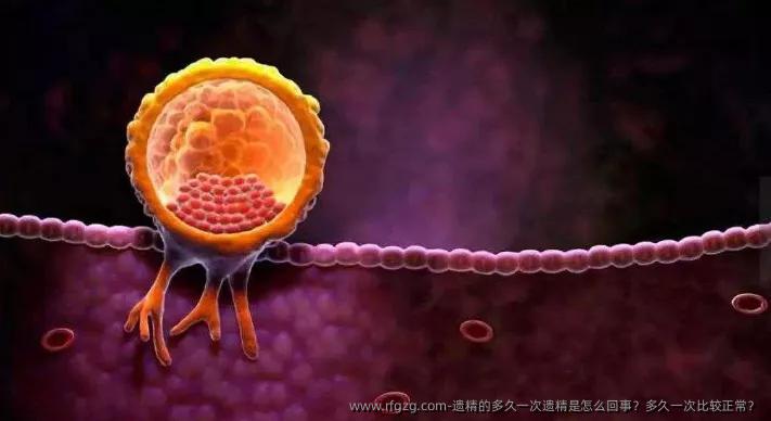 遗精的多久一次遗精是怎么回事?多久一次比较正常?