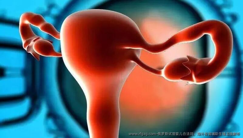 俄罗斯代孕合法吗,海外各国辅助生殖法规解析