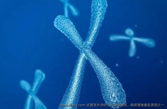 试管宫外孕的六大致命原因,输卵管堵塞是原因之一