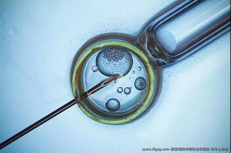 诺雷得的作用机制有哪些 有什么功效