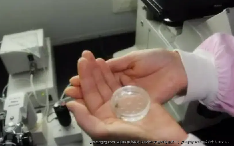 来曲唑和克罗米芬哪个对内膜厚度影响小?这两种药对怀孕成功率影响大吗?