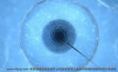 试管取精前要注意什么问题代孕是如何取精的取精前可以喝酒吗