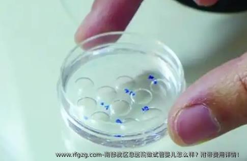 南部战区总医院做代孕怎么样?附带费用详情!