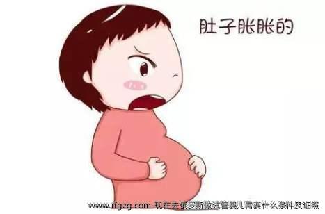 现在去俄罗斯做代孕需要什么条件及证照
