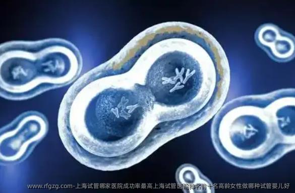 上海试管哪家医院成功率最高上海试管医院排名前十名高龄女性做哪种代孕好