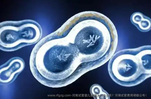 河南代孕费用大约多少钱？河南试管费用明细公布！