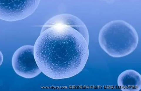泰国试管成功率如何?代孕技术水平高吗
