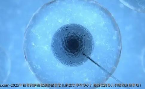 2025年在青铜峡市做高龄代孕的成功率有多少?高龄代孕有哪些注意事项?