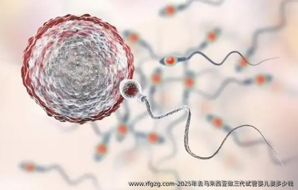 2025年去马来西亚做三代代孕要多少钱