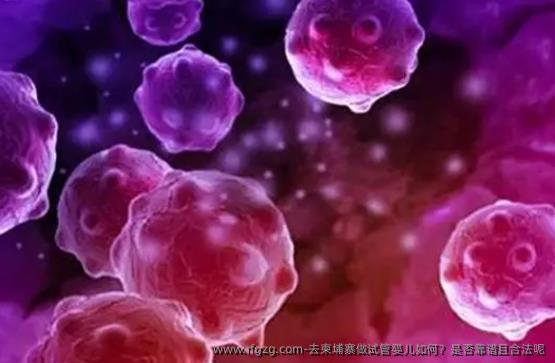 去柬埔寨做代孕如何?是否靠谱且合法呢