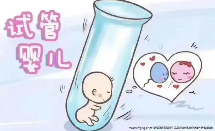 柬埔寨代孕与国内比差距如何？数据揭秘