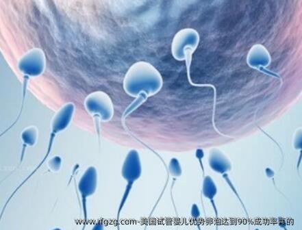 美国代孕优势卵泡达到90%成功率真的
