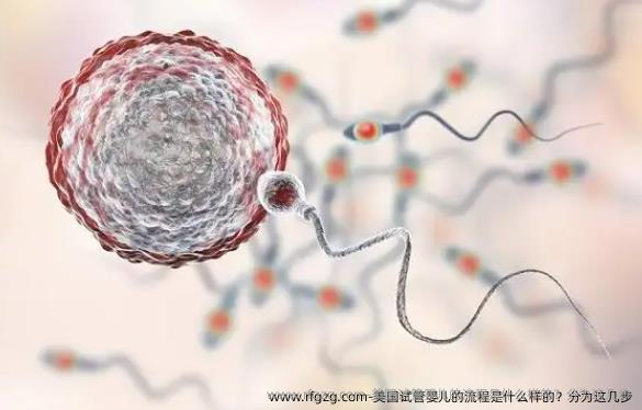 美国代孕的流程是什么样的？分为这几步