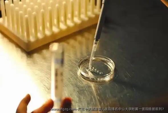 广东十大代孕医院排名中山大学附属一医院稳居前列？