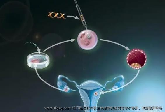 江门私立机构第三代试管优生孩子孩多少费用，详细费用解析