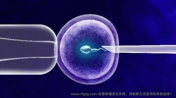 试管移植多次失败:持续努力还是寻找其他选择?