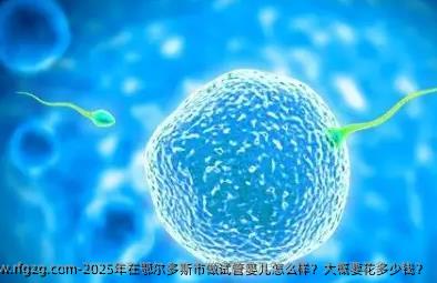 2025年在鄂尔多斯市做代孕怎么样？大概要花多少钱？