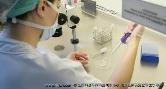 东莞医院试管移植成功率多少 东莞哪家医院试管成功率高 