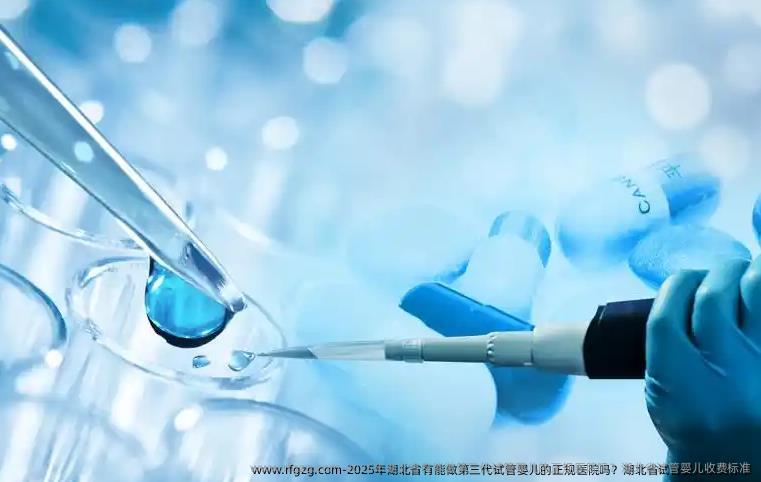 2025年湖北省有能做第三代代孕的正规医院吗?湖北省代孕收费标准
