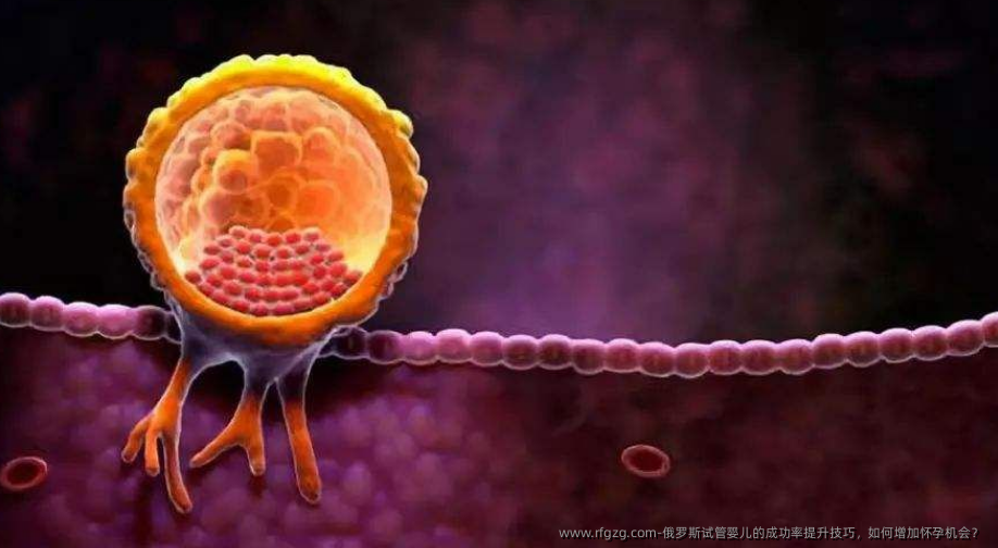 俄罗斯代孕的成功率提升技巧，如何增加怀孕机会？ 