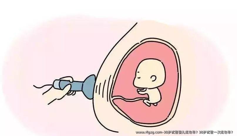 30岁代孕成功率？30岁试管初次成功率？